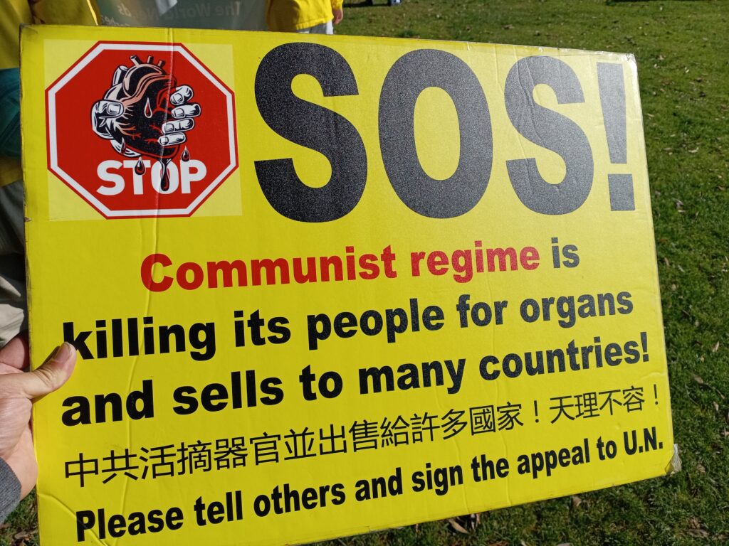 IMG 20250101 133311 1024x768