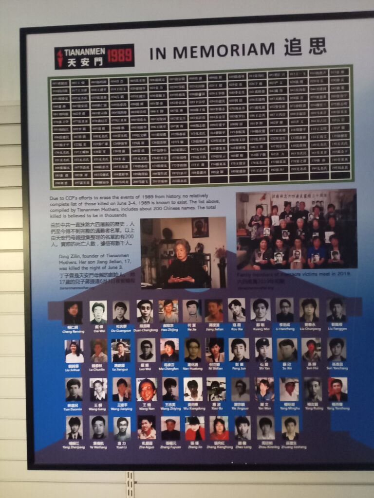 IMG 20250608 113349 768x1024