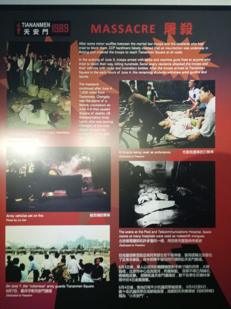 IMG 20250608 113411 768x1024