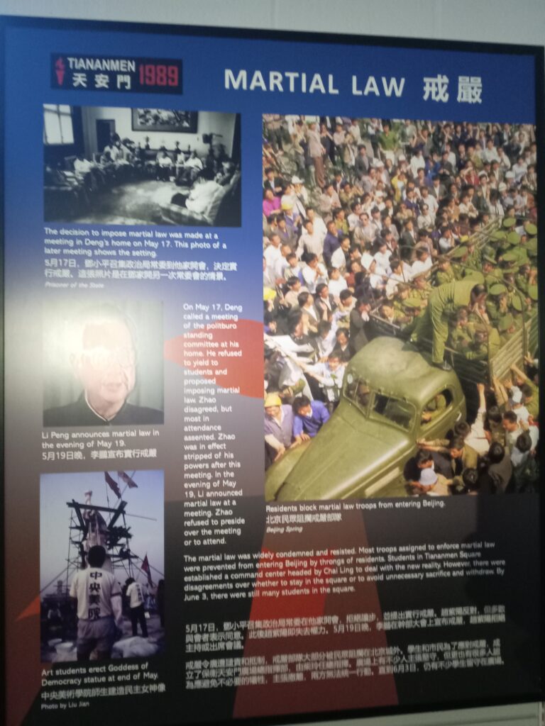 IMG 20250608 113431 768x1024