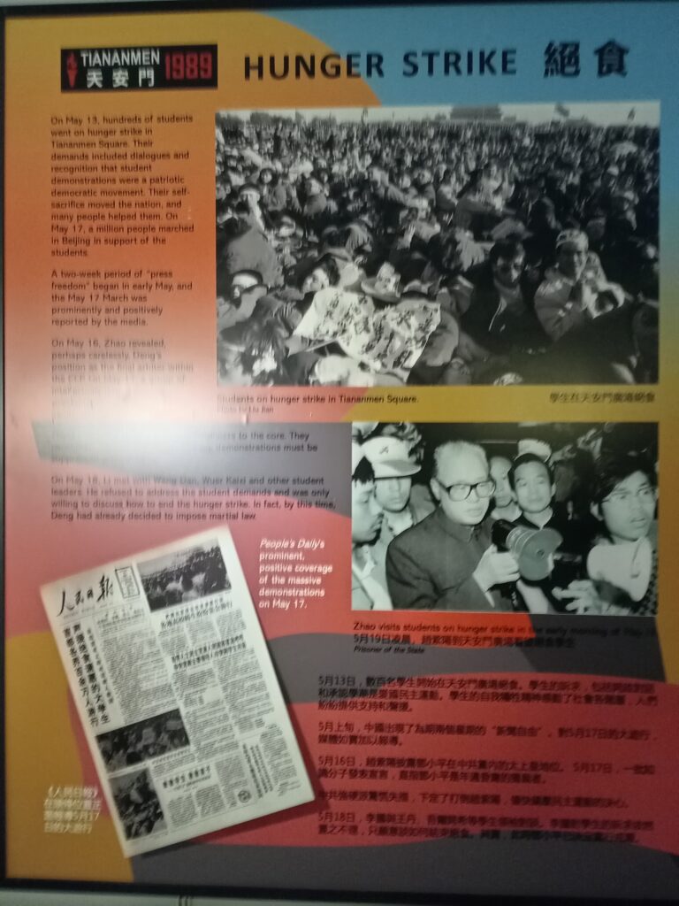 IMG 20250608 113447 768x1024