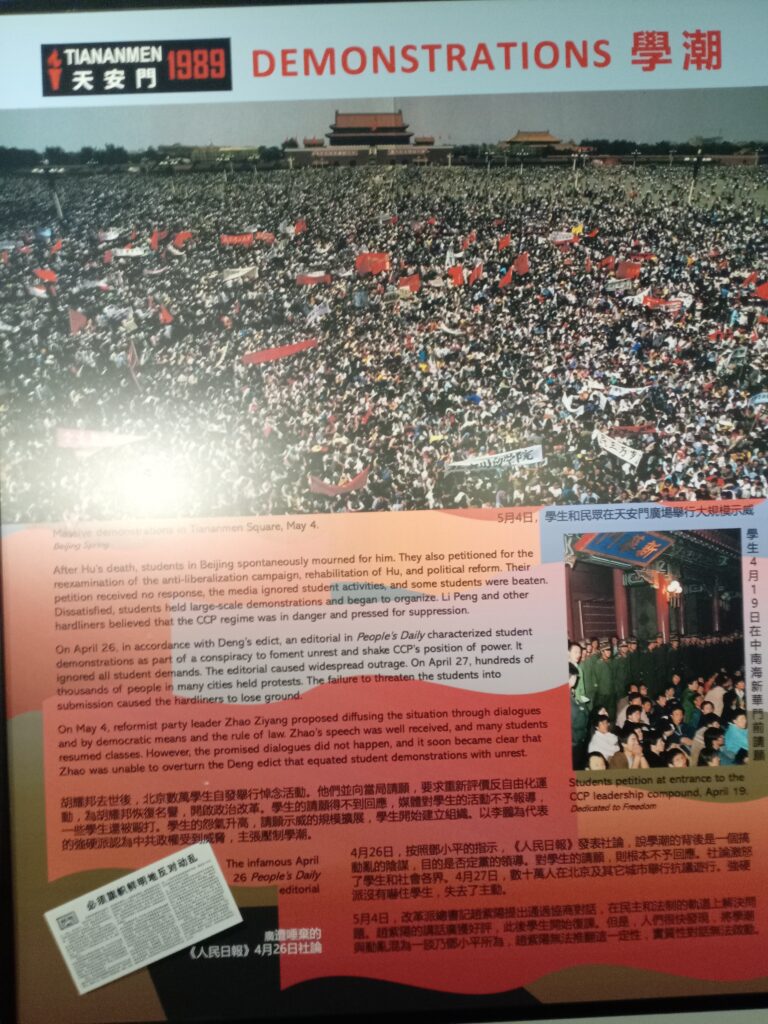 IMG 20250608 113500 768x1024