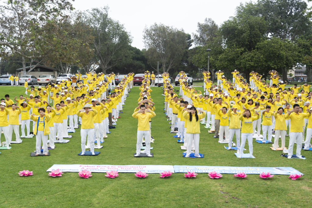 Id14599644 DSC01862ab 1024x683