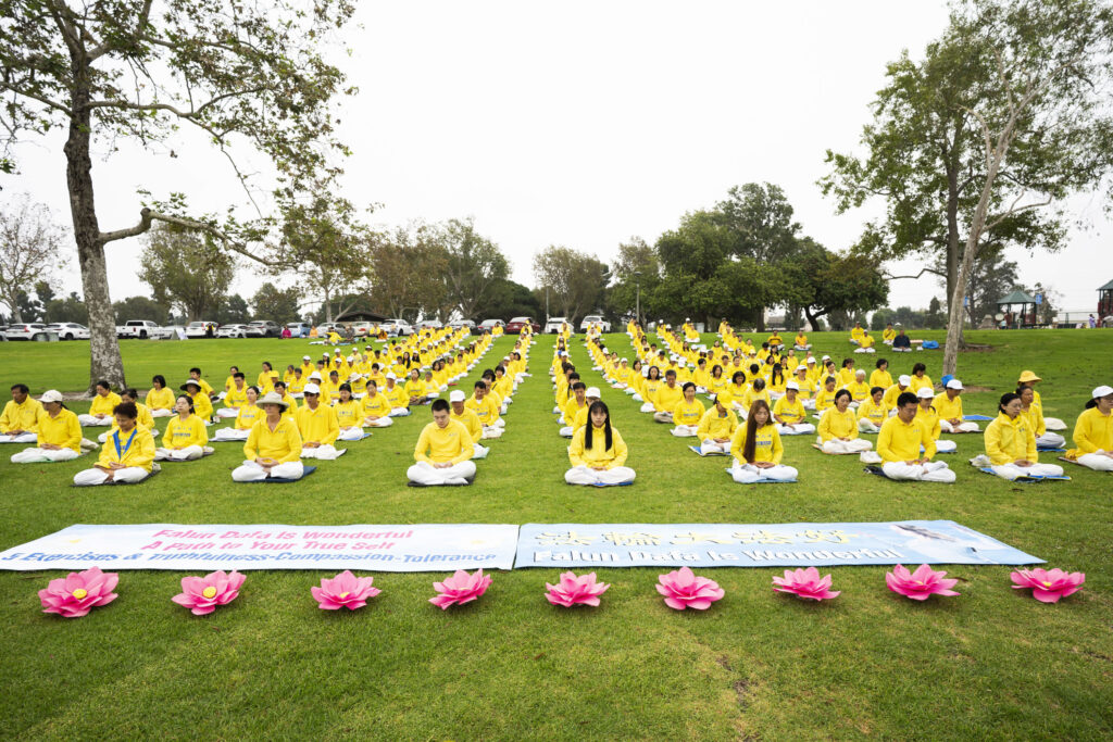 Id14599646 DSC04566ab 1024x683