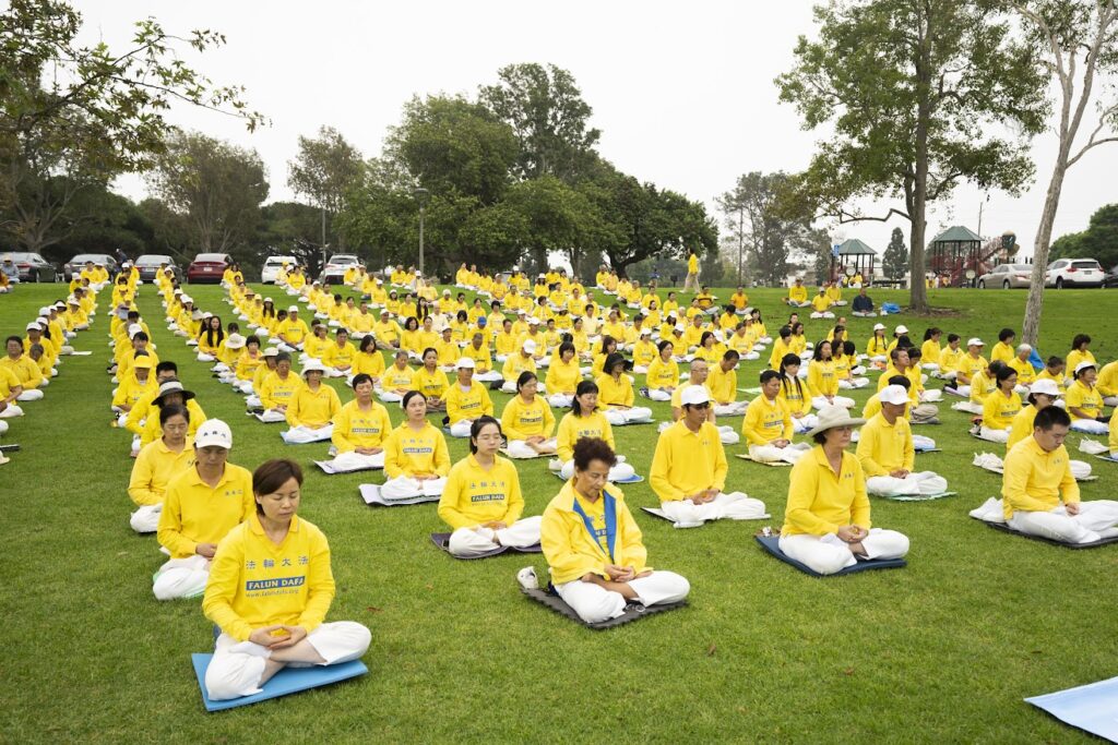 Id14599652 DSC04570ab 1024x683